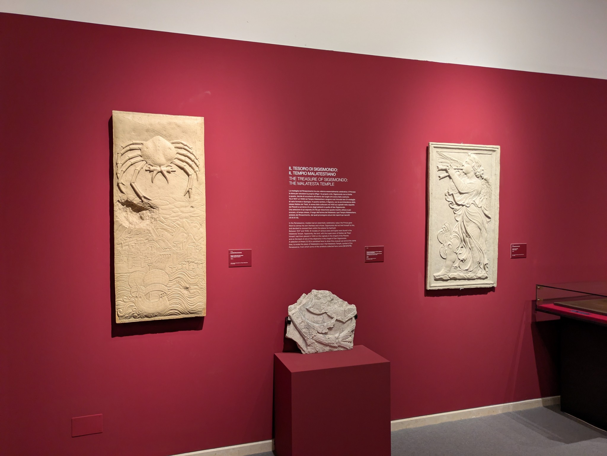 PXL 20250903 095840344