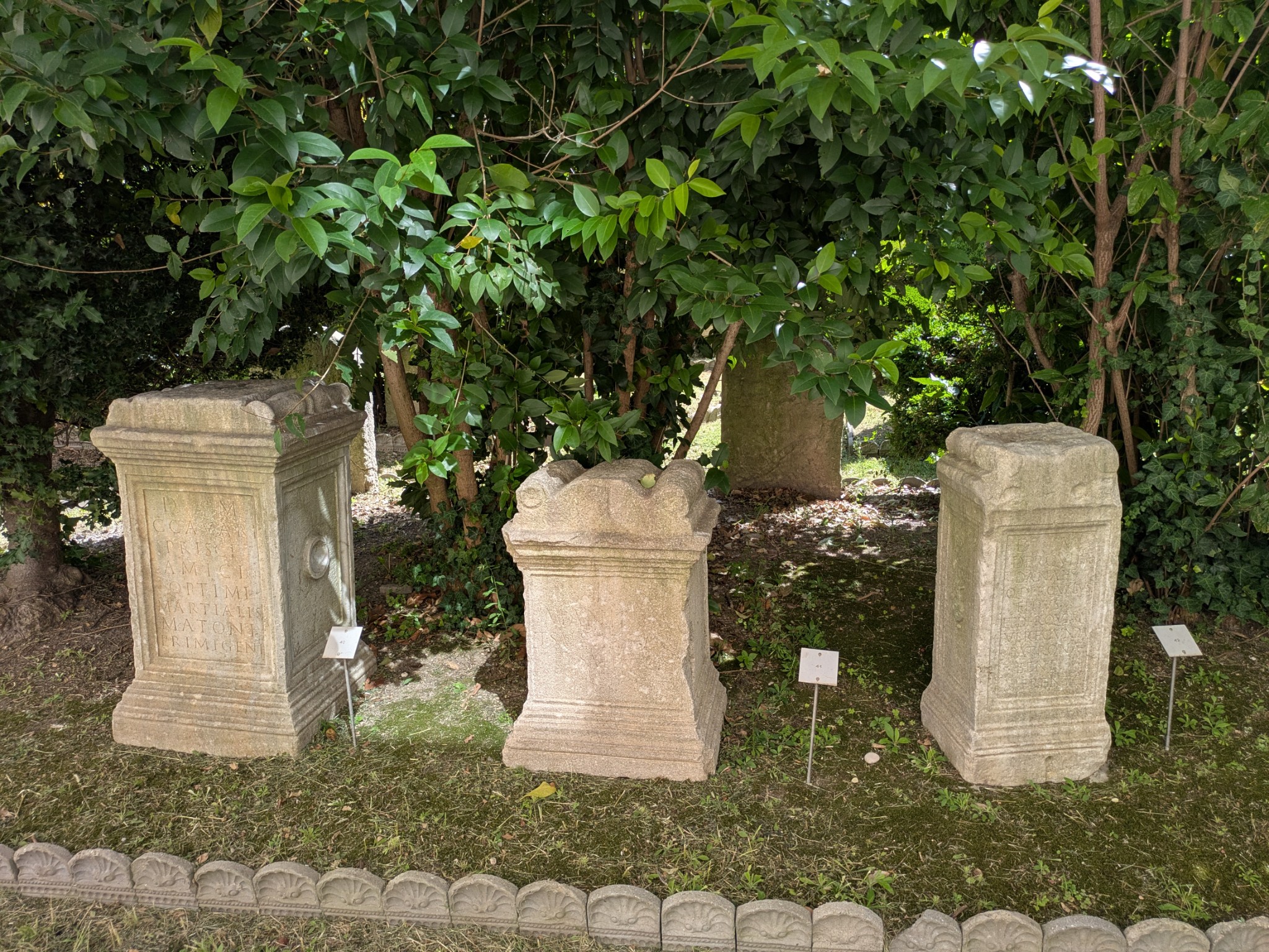 PXL 20250903 103110201