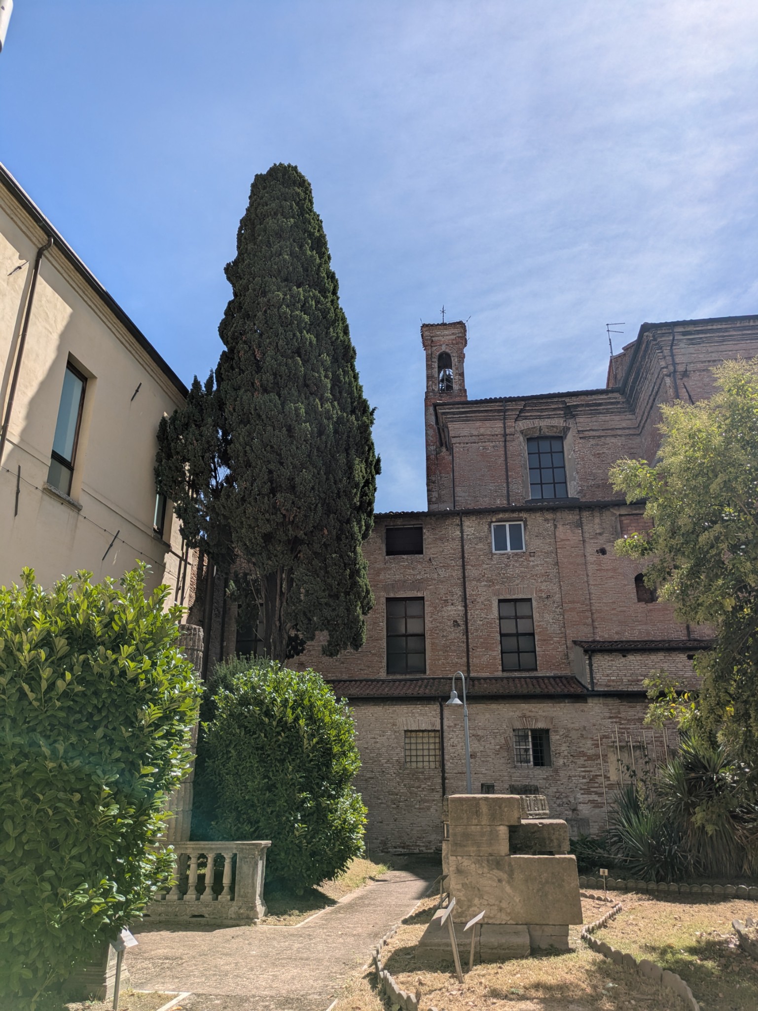 PXL 20250903 103154074