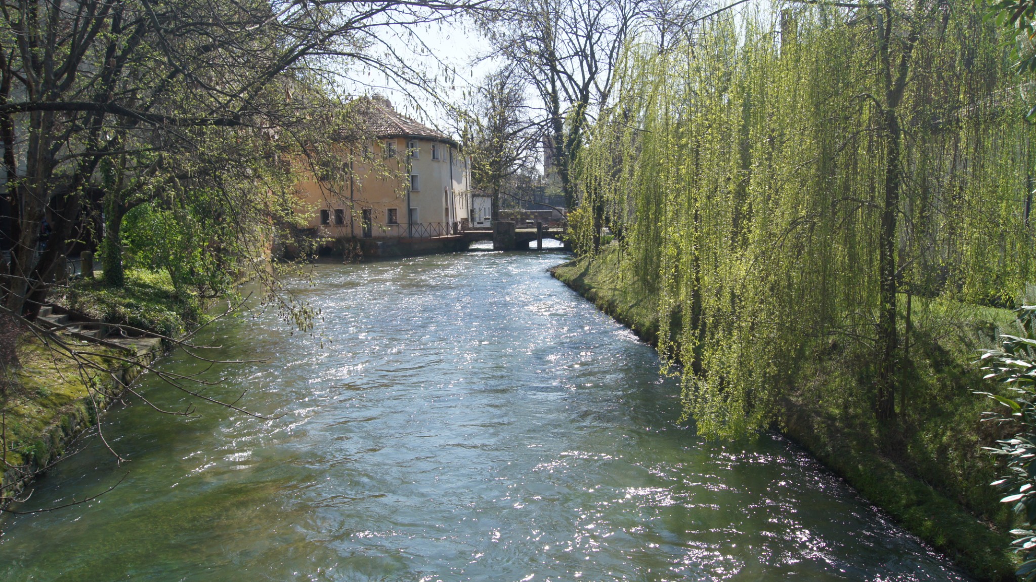 DSC00437