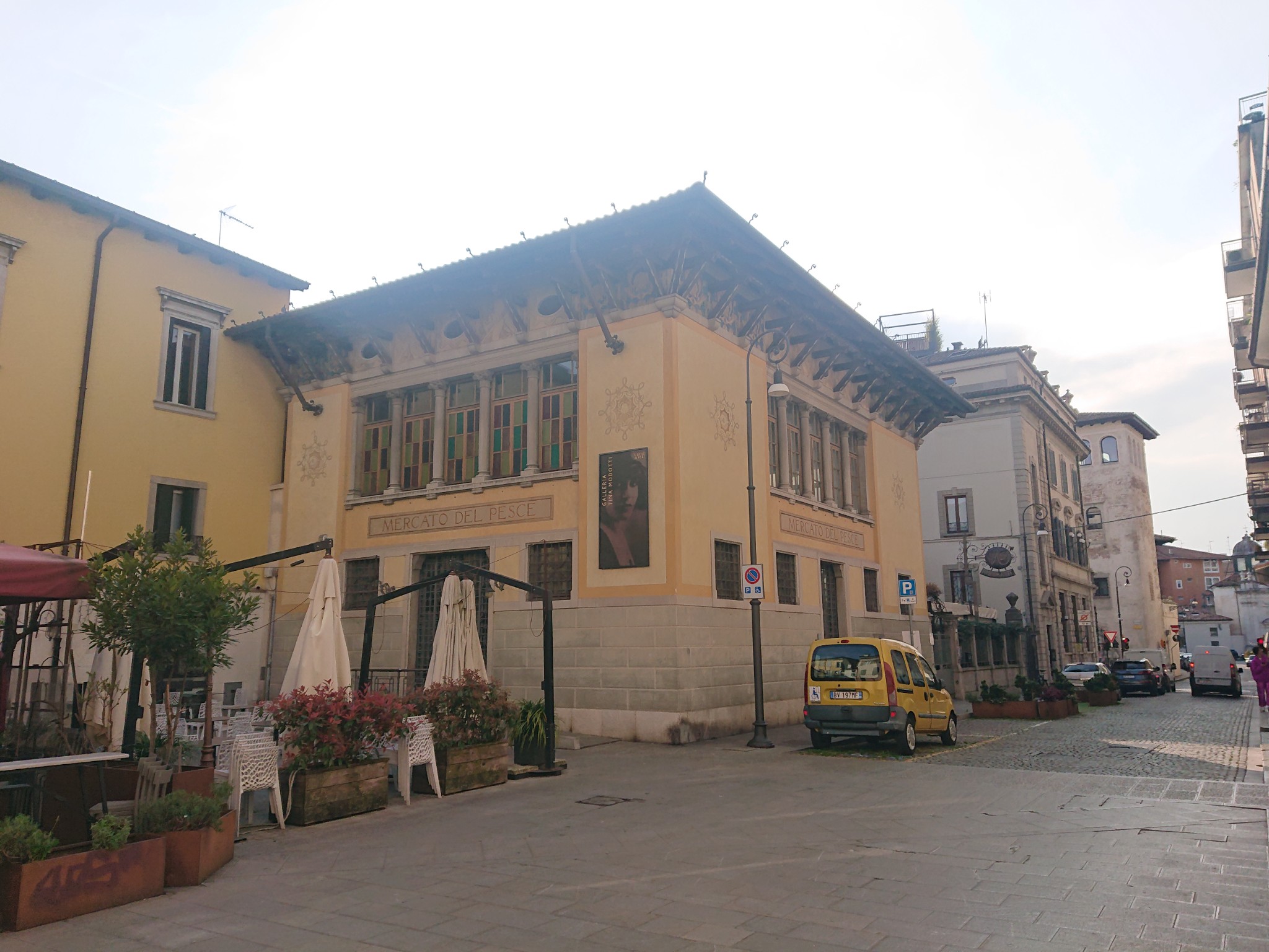 DSC 0010 2