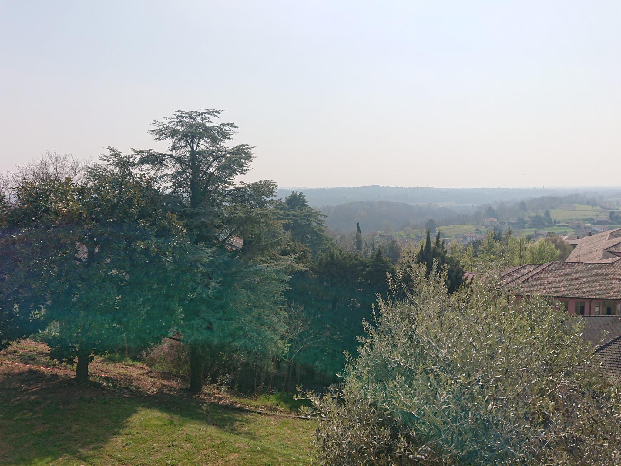 DSC 0070 1