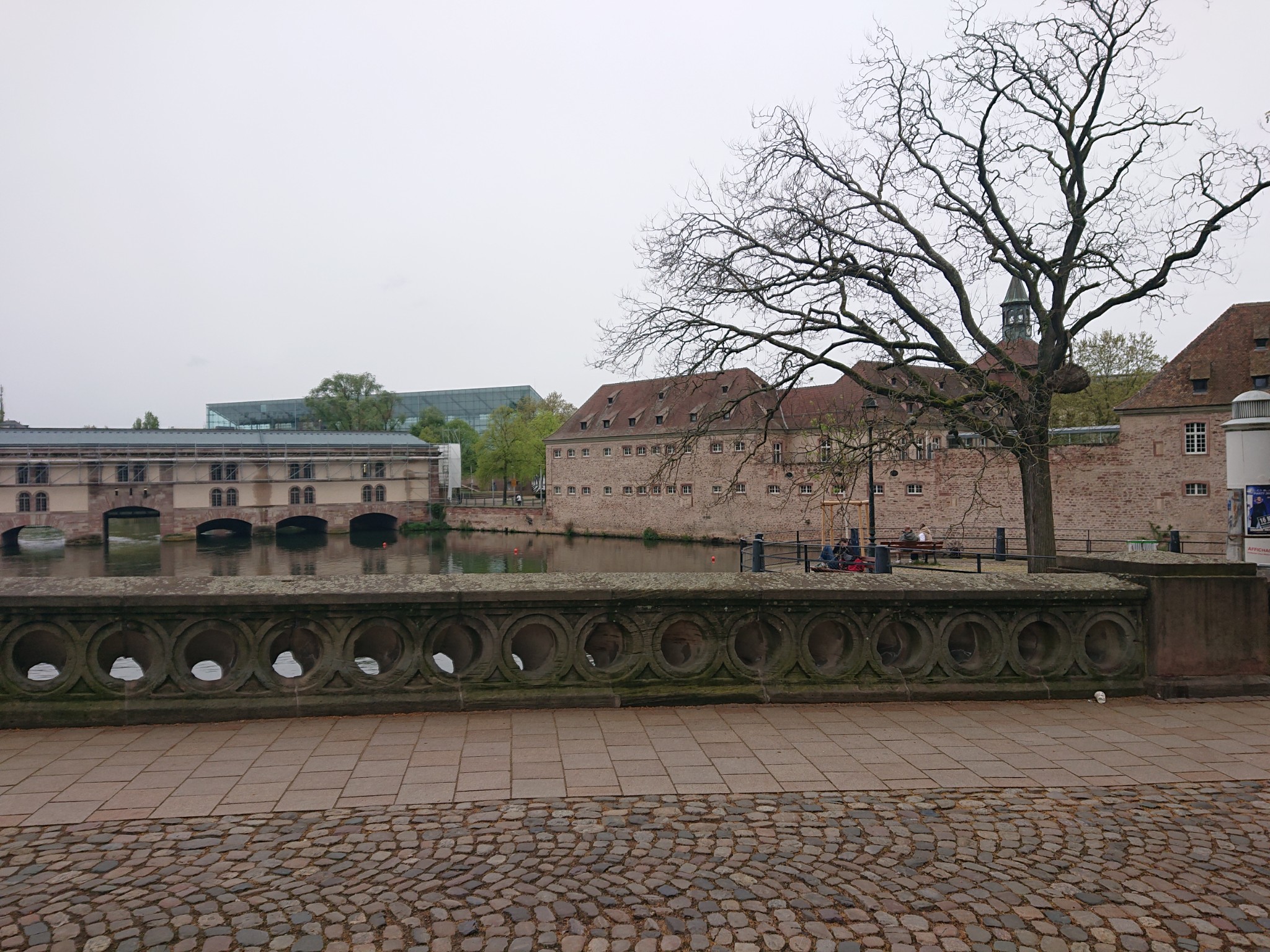 DSC 0241