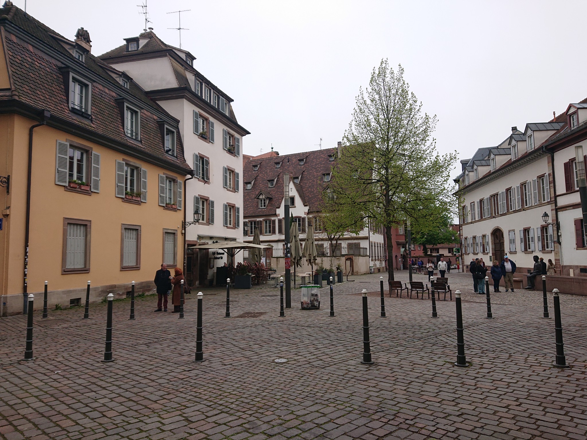 DSC 0251