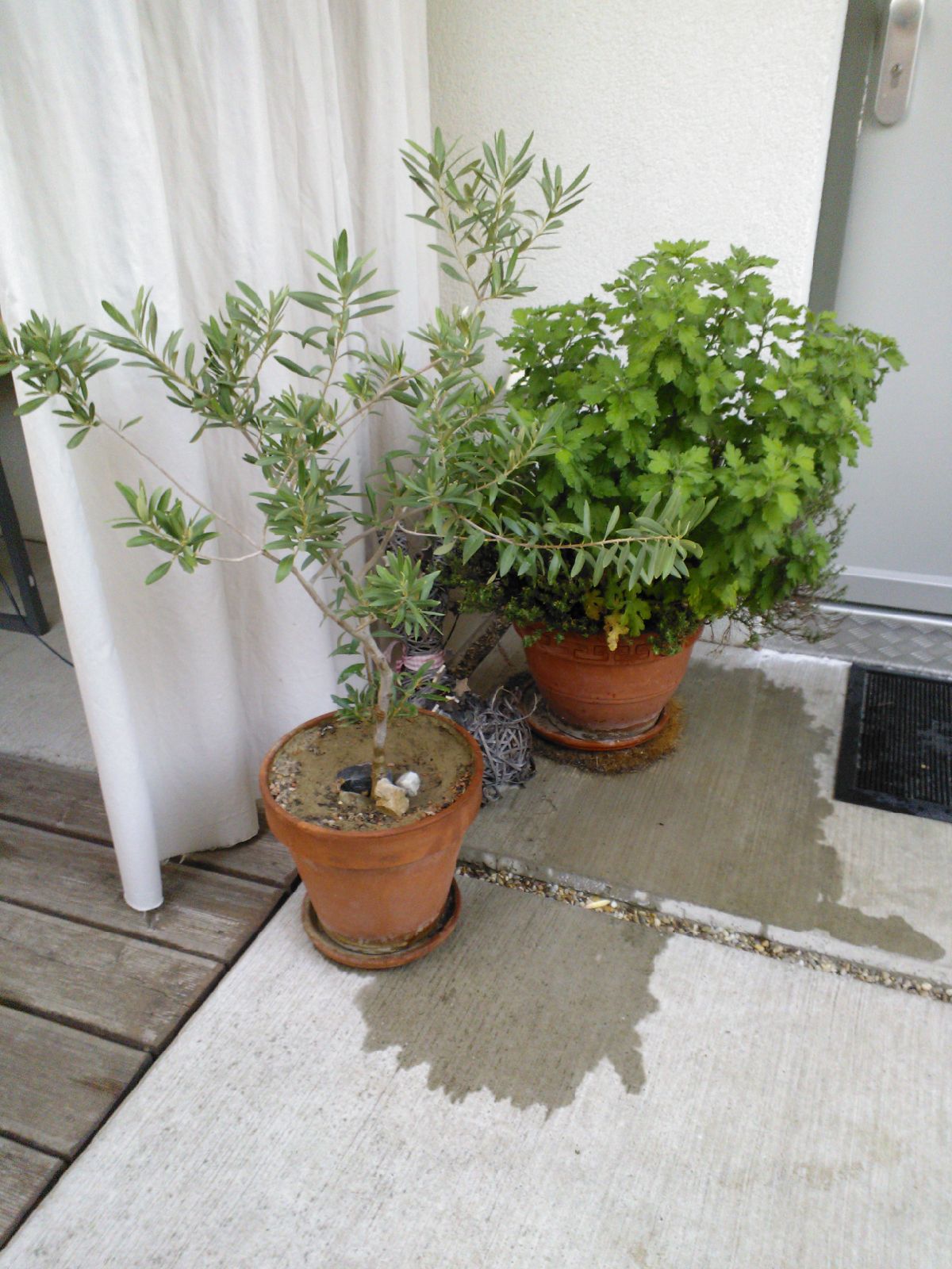 298a6fea2ae1a45270fce148d582fc38299571fb