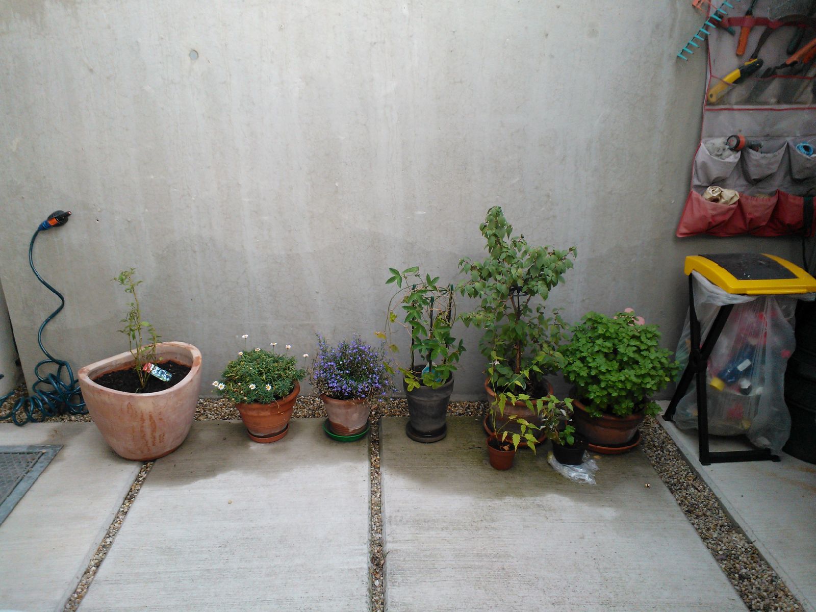 6b3d129551f98a42933e14d391d9b94fb27052bd