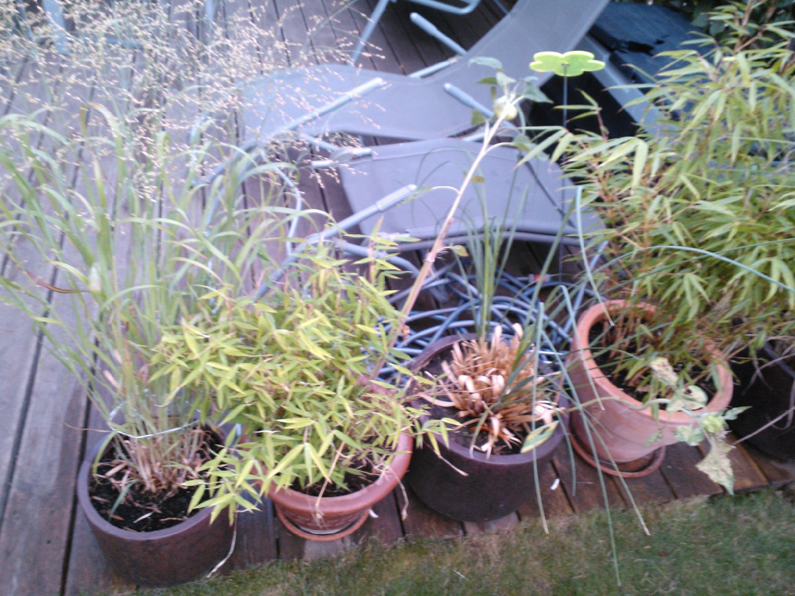 985673d891e801827cb6c92d2fd38ae9345954c1